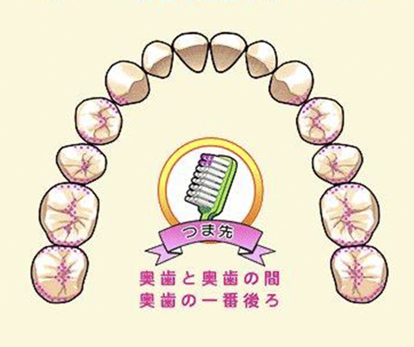 前歯の裏側